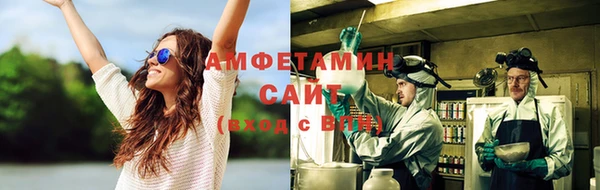 индика Беломорск