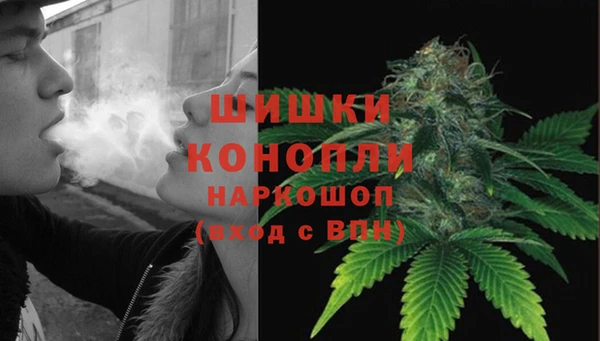 гидра Тавда