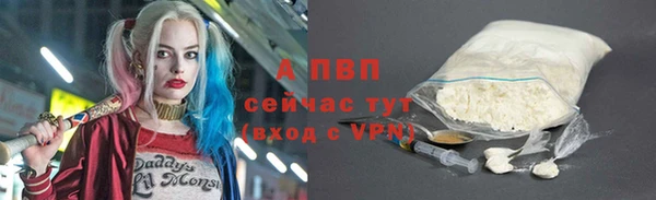индика Беломорск