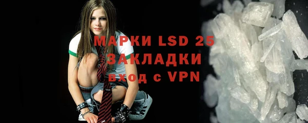 индика Беломорск