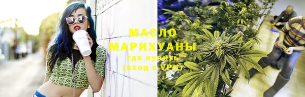 индика Беломорск