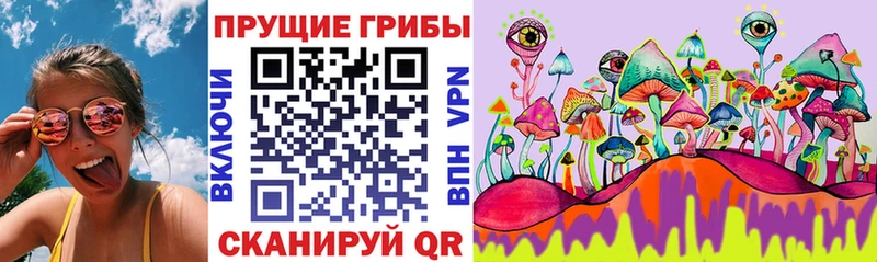 Галлюциногенные грибы Magic Shrooms  где найти   Верещагино 
